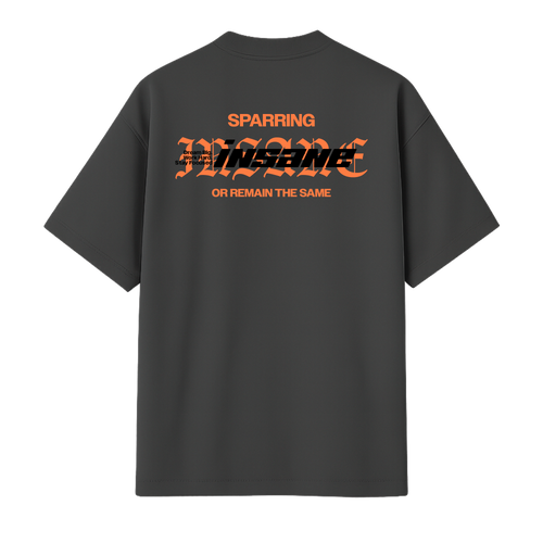 Camiseta Oversized Tsugi Chumbo | Algodão 220g Estonado – ALKEN